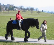 Molly riding a Dutch Friesian stallion